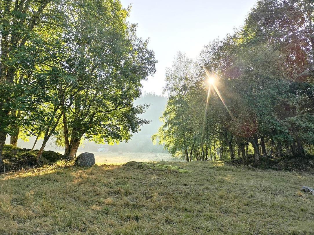 Fewo C1 für bis zu 5 Personen Menzenschwand-Hinterdorf Exterior foto