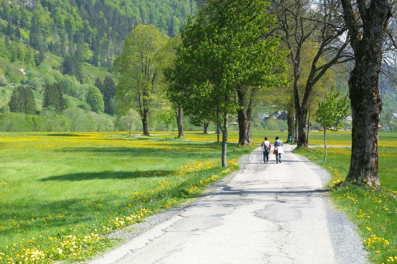 Fewo C1 für bis zu 5 Personen Menzenschwand-Hinterdorf Exterior foto